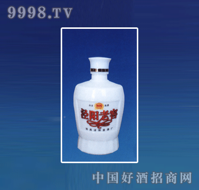 ZH-R076ƿϵ500ml