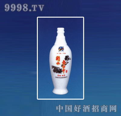 ZH-R072ƿϵ500ml