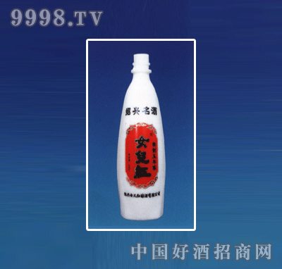 ZH-R069ƿϵ500ml