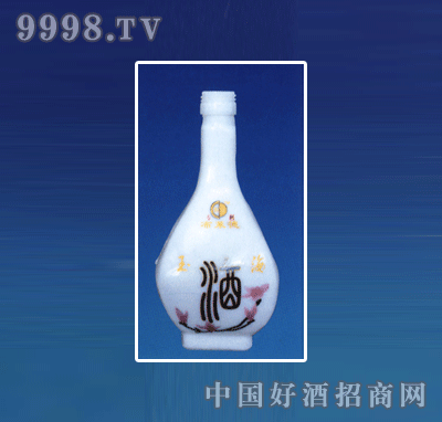 ZH-R078ƿϵ500ml