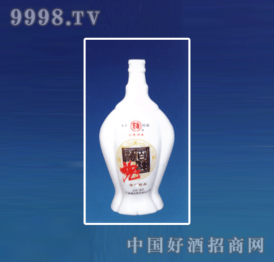 ZH-R067ƿϵ500ml