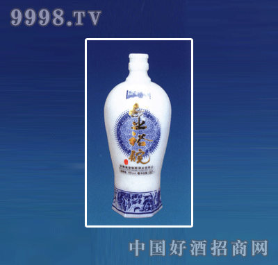 ZH-R055ƿϵ500ml