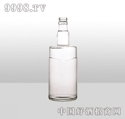 ZH-62߰ײƿ500ml