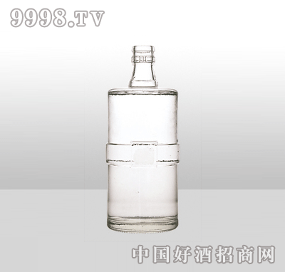 ZH-61߰ײƿ500ml