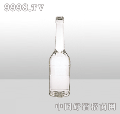 ZH-59߰ײƿ500ml