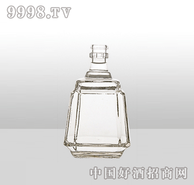 ZH-53߰ײƿ500ml