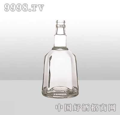 ZH-48߰ײƿ500ml