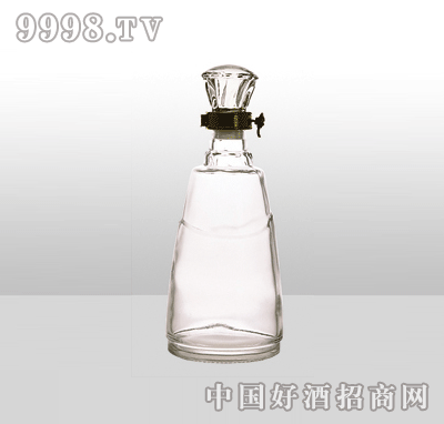 ZH-46߰ײƿ500ml