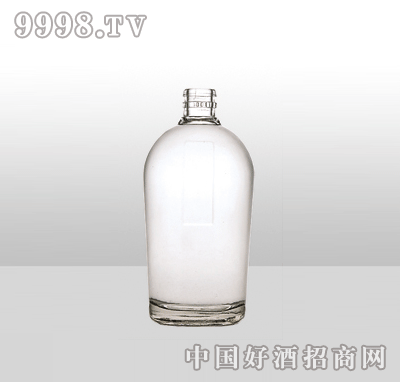 ZH-38߰ײƿ500ml