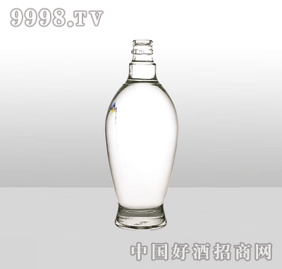 ZH-28߰ײƿ500ml