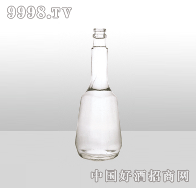 ZH-21߰ײƿ500ml