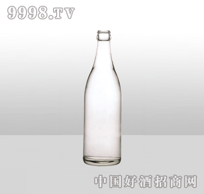 ZH-20߰ײƿ500ml