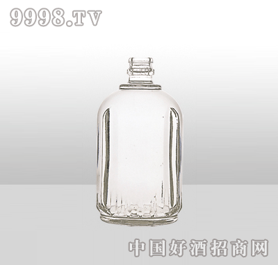 ZH-18߰ײƿ500ml