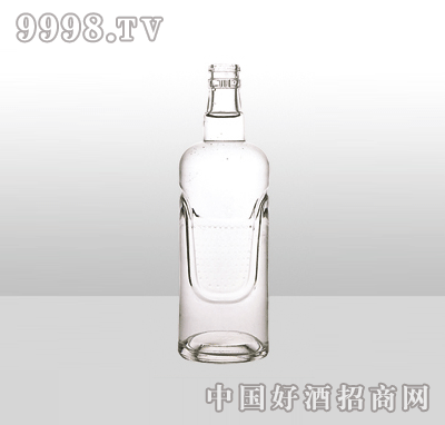 ZH-13߰ײƿ500ml