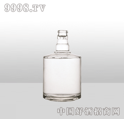 ZH-12߰ײƿ500ml