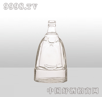 ZH-11߰ײƿ500ml