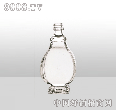 ZH-6߰ײƿ500ml