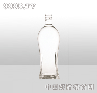 ZH-5߰ײƿ500ml