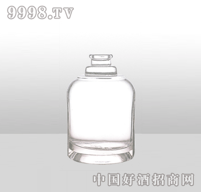 ZH-J046߰ײƿ500ml