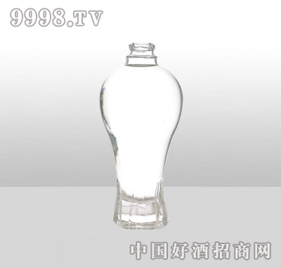 ZH-J045߰ײƿ500ml