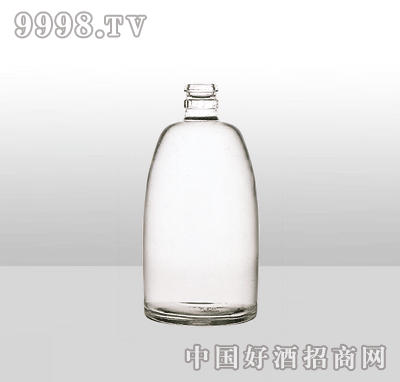 ZH-1߰ײƿ500ml