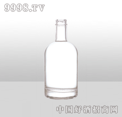 ZH-J019߰ײƿ500ml