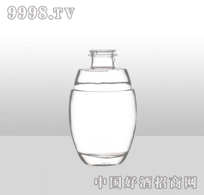 ZH-J018߰ײƿ500ml