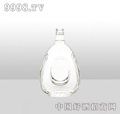 ZH-J006߰ײƿ500ml