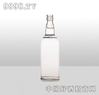 ZH-1954߰ײƿ500ml