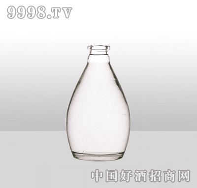 ZH-1128߰ײƿ500ml