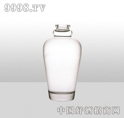 ZH-1115߰ײƿ500ml