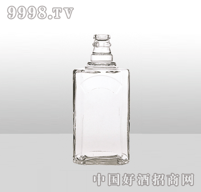 ZH-1106߰ײƿ500ml