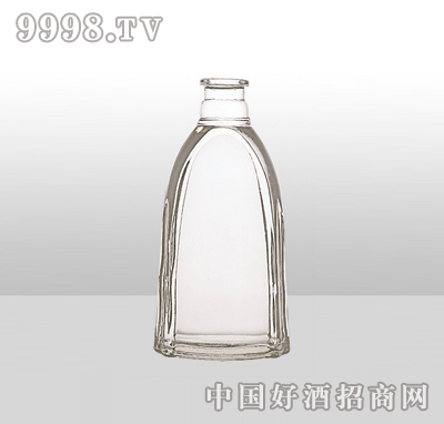 ZH-1099߰ײƿ500ml