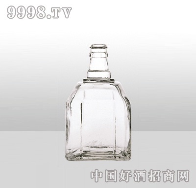 ZH-1096߰ײƿ500ml