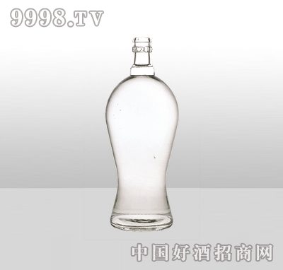 ZH-1080߰ײƿ500ml