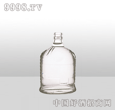 ZH-1081߰ײƿ500ml