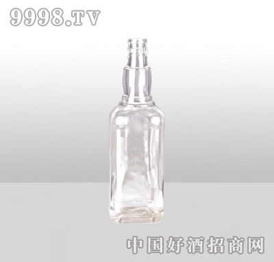 ZH-1054߰ײƿ500ml