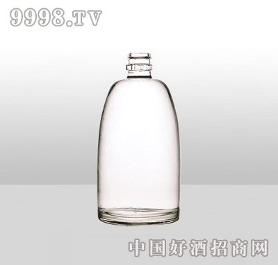 ZH-1010߰ײƿ500ml