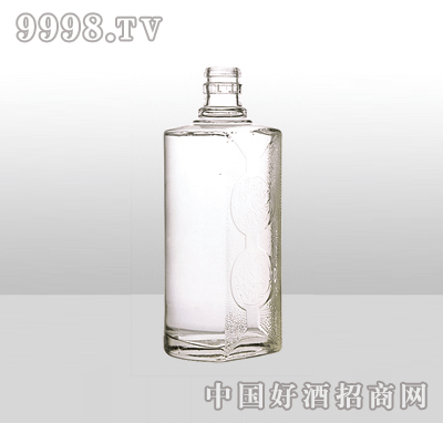 ZH-1005߰ײƿ500ml