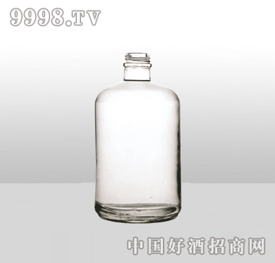 ZH-978-1߰ײƿ650ml