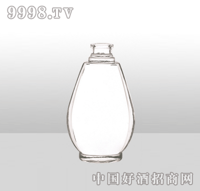 ZH-977߰ײƿ500ml