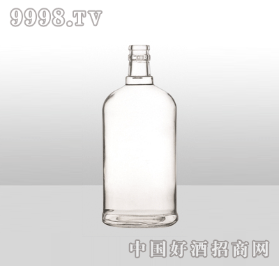 ZH-974߰ײƿ500ml