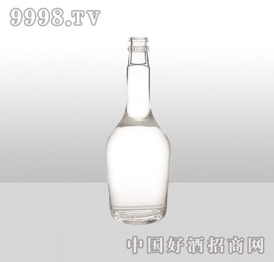 ZH-973߰ײƿ500ml