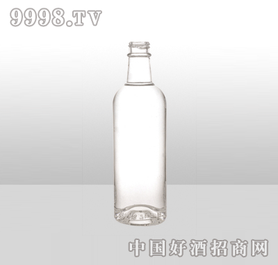 ZH-950߰ײƿ500ml