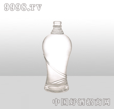 ZH-939߰ײƿ500ml