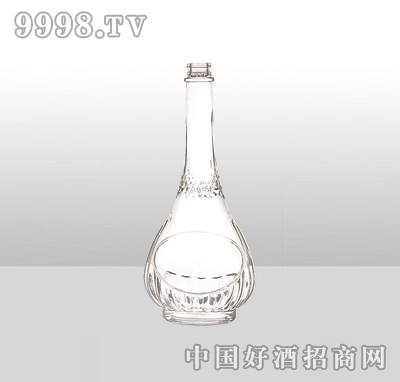 ZH-938߰ײƿ500ml