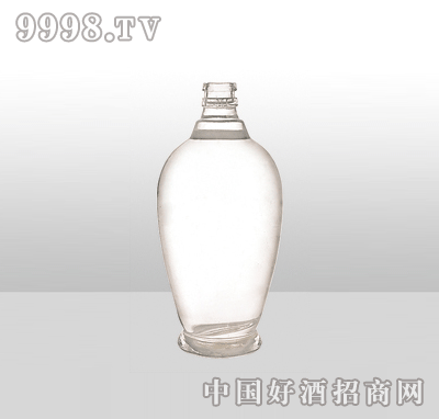 ZH-933߰ײƿ500ml