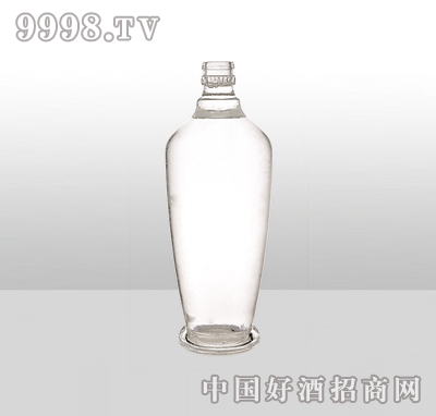 ZH-928߰ײƿ500ml