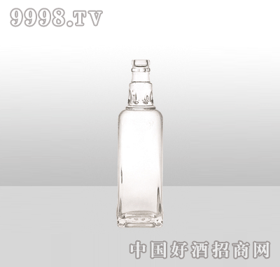 ZH-891-1߰ײƿ500ml