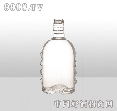 ZH-888߰ײƿ500ml